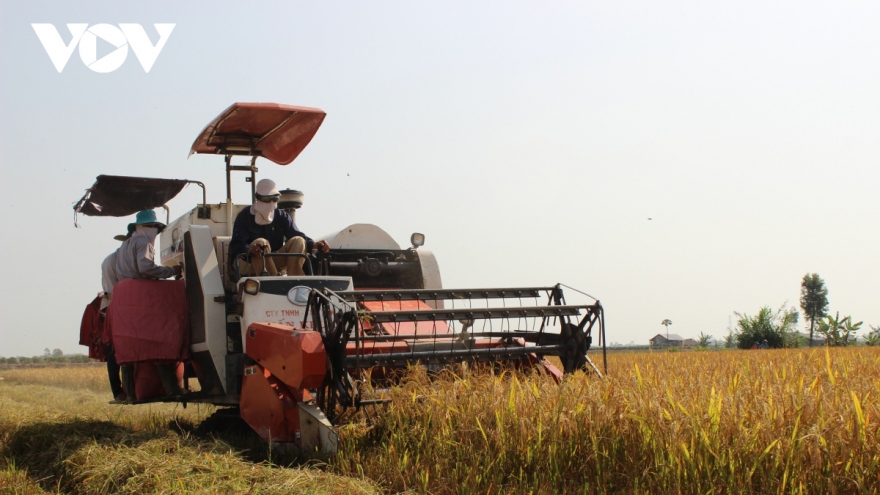 Vietnam Rice Festival to open in Vinh Long on January 7
